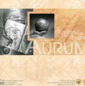Аурум-99 (турагентство)
