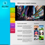 Sky Star Group (медиа-агентство)